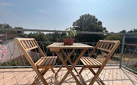 O&R Home Crema